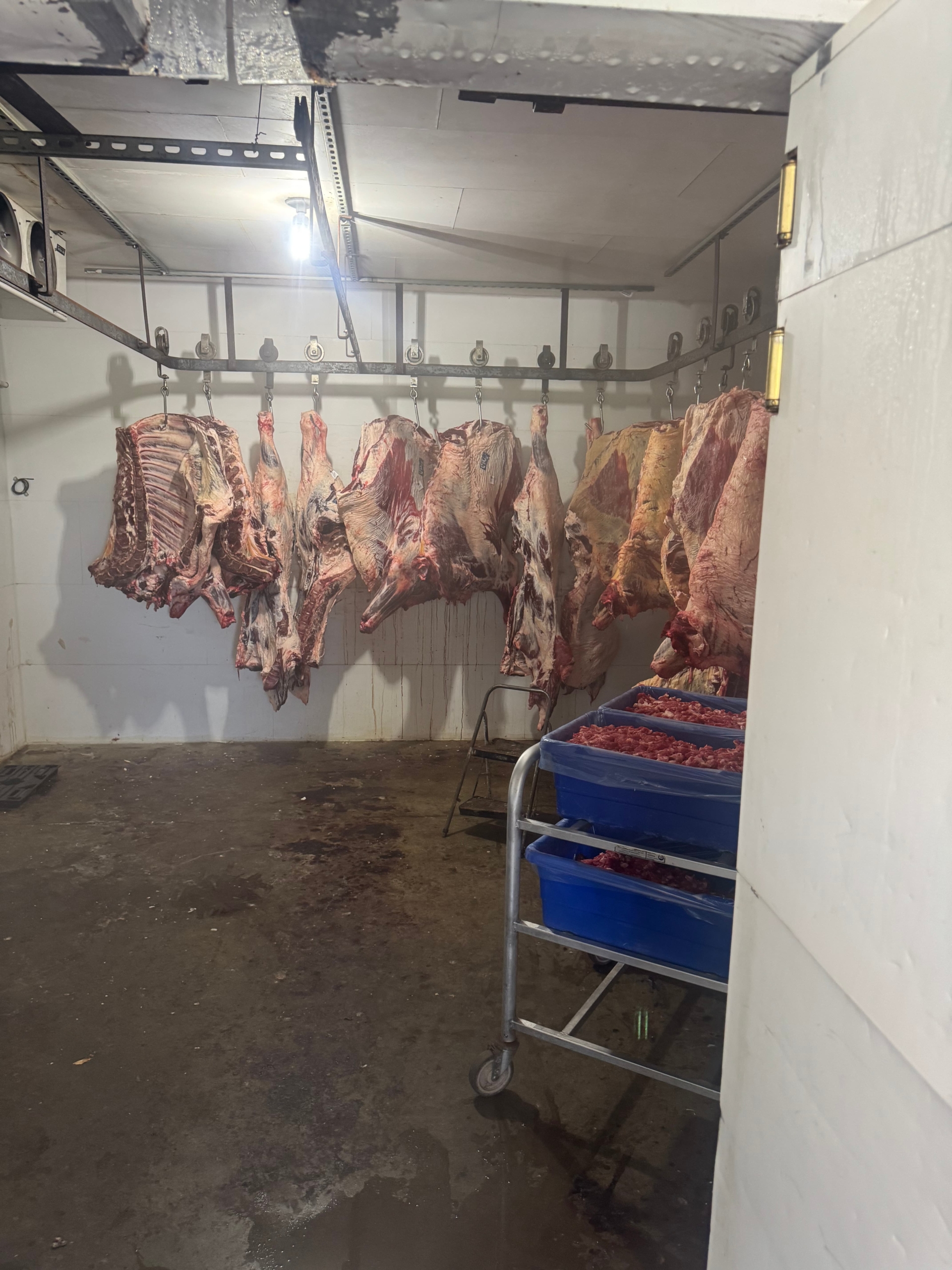 Turnkey Butcher Shop