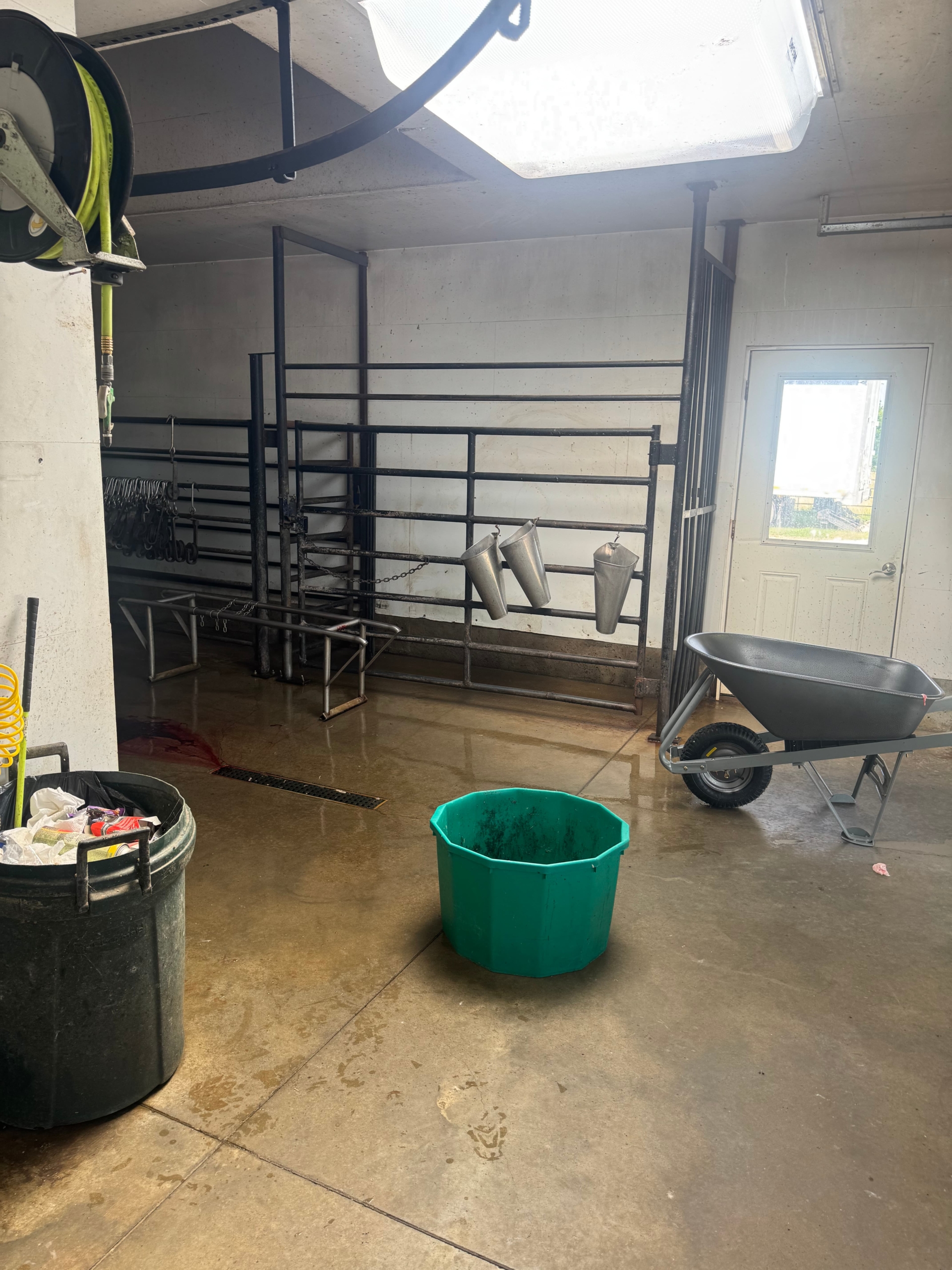 Turnkey Butcher Shop